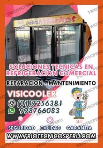 MANTENIMIENTO Y REPARACION 7590161 DE VISICOOLER